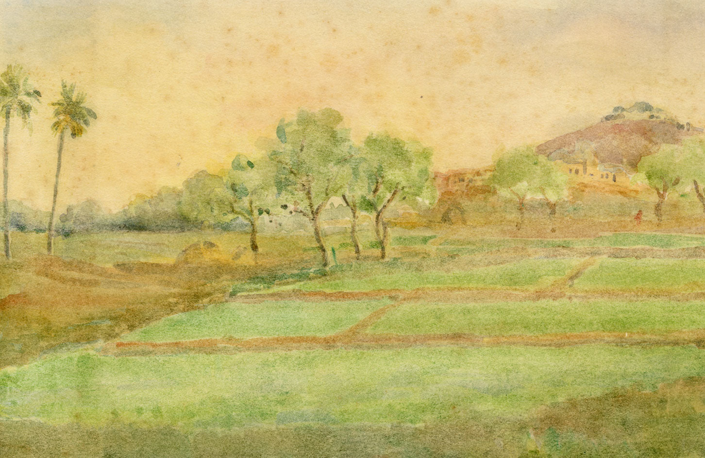 Andrea Lucey, Rice Fields, Kashmir, India – Original c.1909 watercolour painting