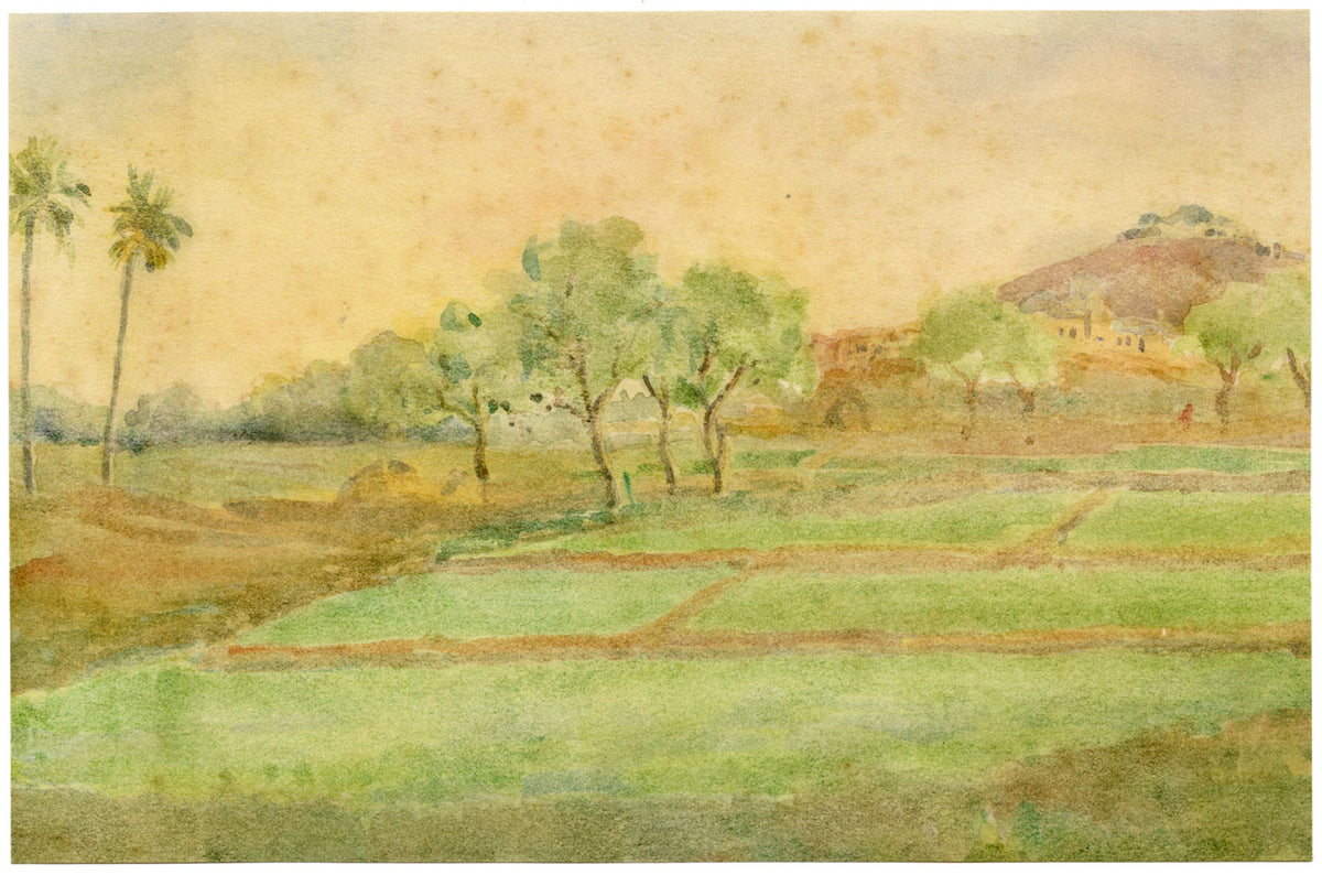 Andrea Lucey, Rice Fields, Kashmir, India – Original c.1909 watercolour painting