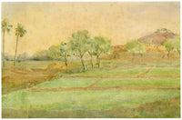 Andrea Lucey, Rice Fields, Kashmir, India – Original c.1909 watercolour painting