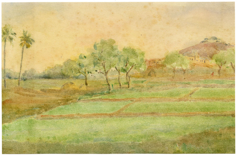 Andrea Lucey, Rice Fields, Kashmir, India – Original c.1909 watercolour painting
