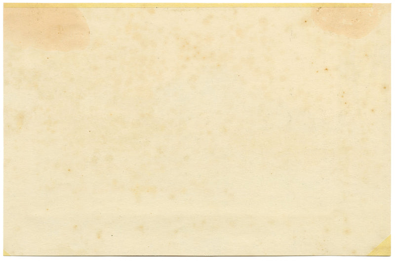 Andrea Lucey, Rice Fields, Kashmir, India – Original c.1909 watercolour painting