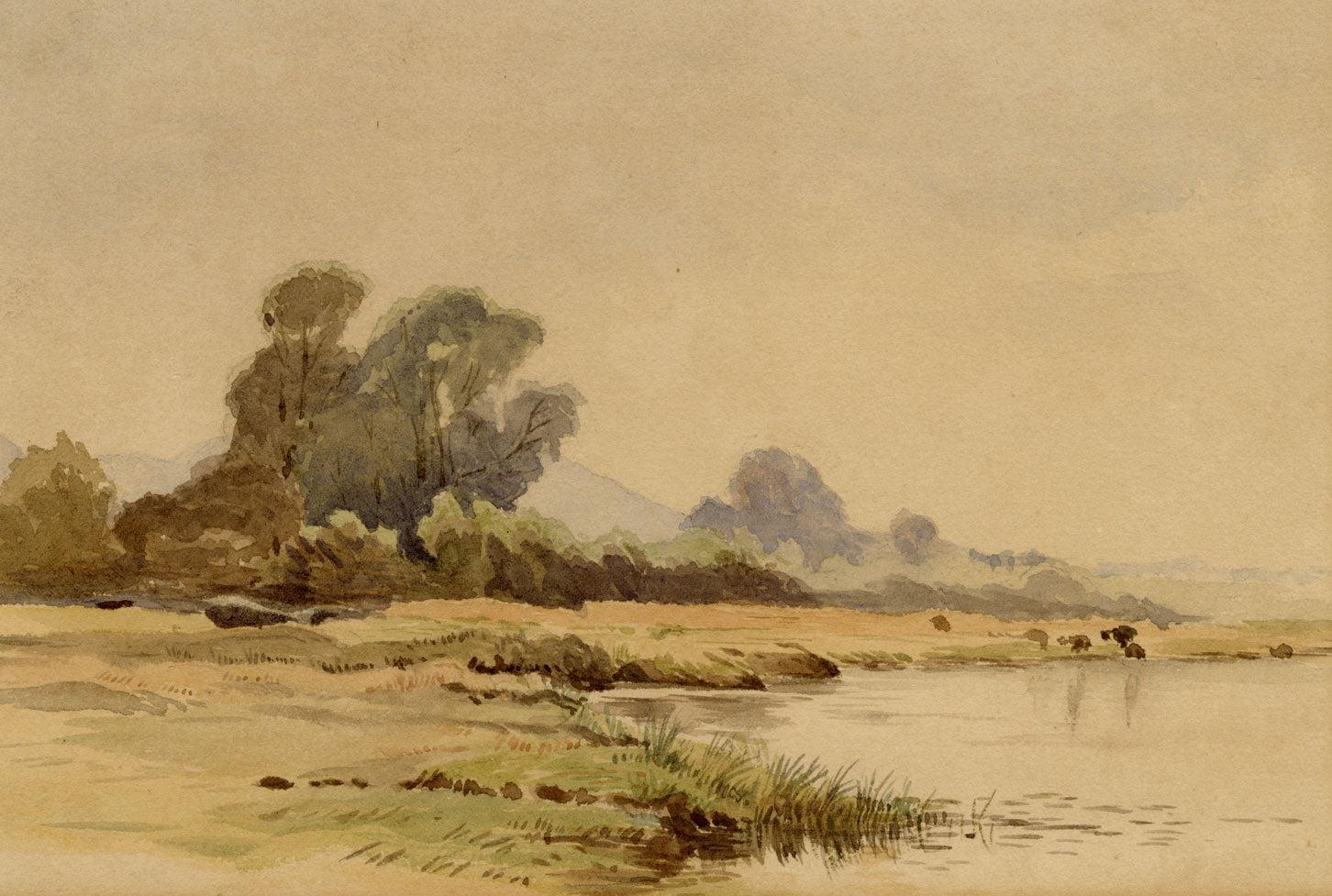 Emily Charlotte Percy