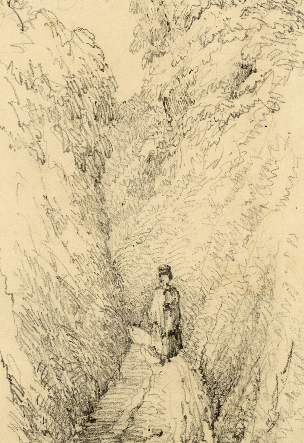 Charlotte Price, Path near Torquay, Devon – Original 1848 graphite drawing