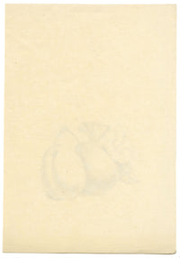 Studio di prugna con fiore di ipomea – disegno a grafite di inizio XIX secolo