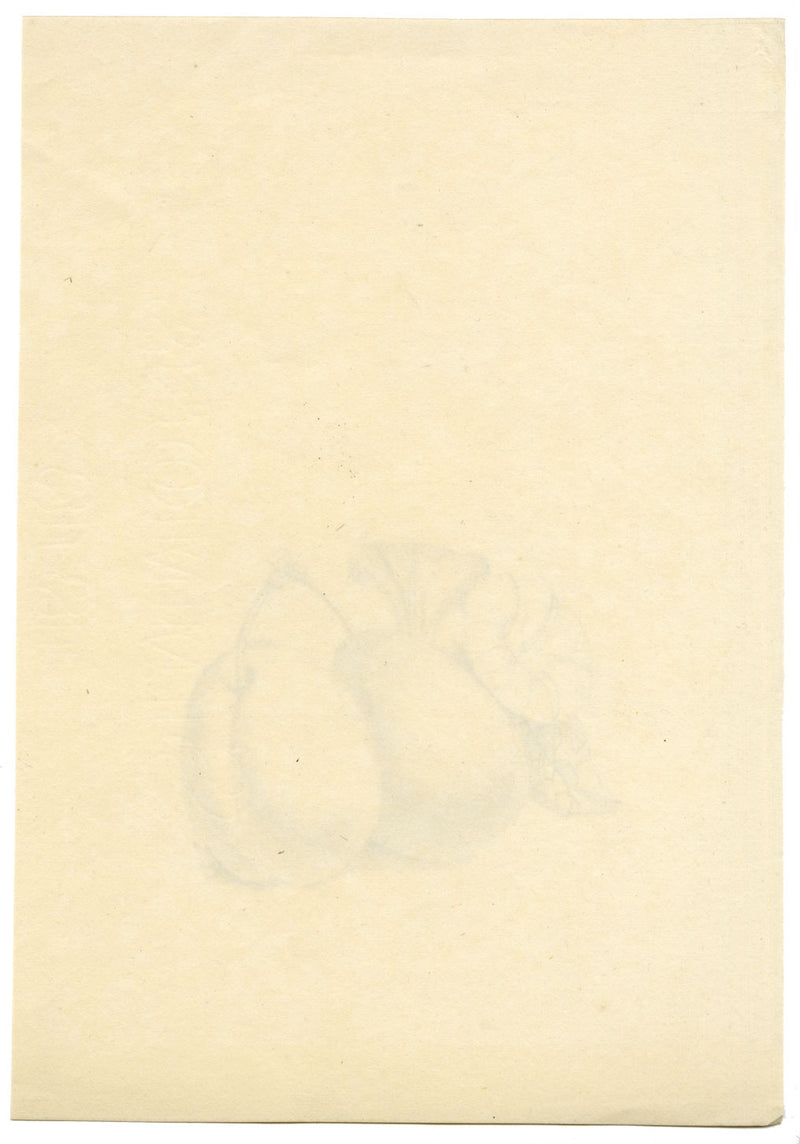 Studio di prugna con fiore di ipomea – disegno a grafite di inizio XIX secolo