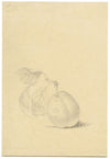 Plum Study – Original early 19th-century graphite drawing