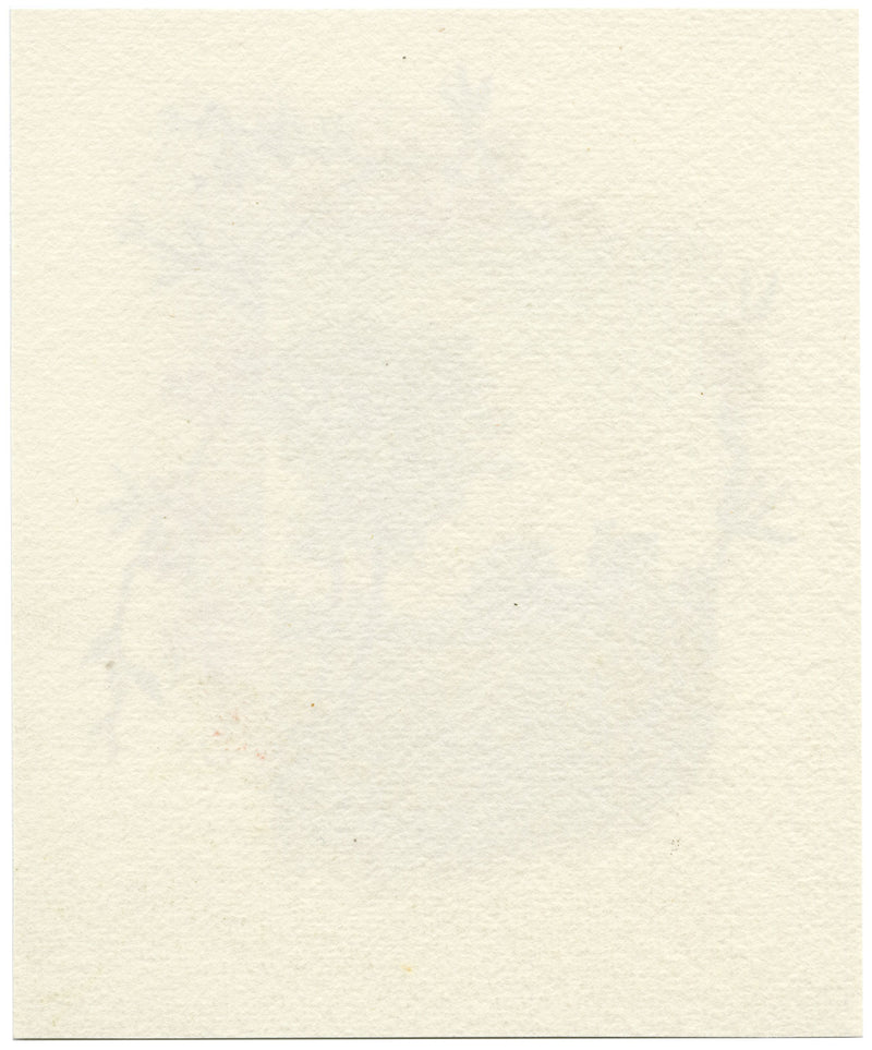 E.J.R., Trompe l'oeil Landscape Painting with Flowers – c.1880s watercolour