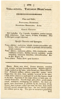 Curtis's Botanical Magazine, Tartarian Heart's-Ease –1816 Handcoloured Engraving
