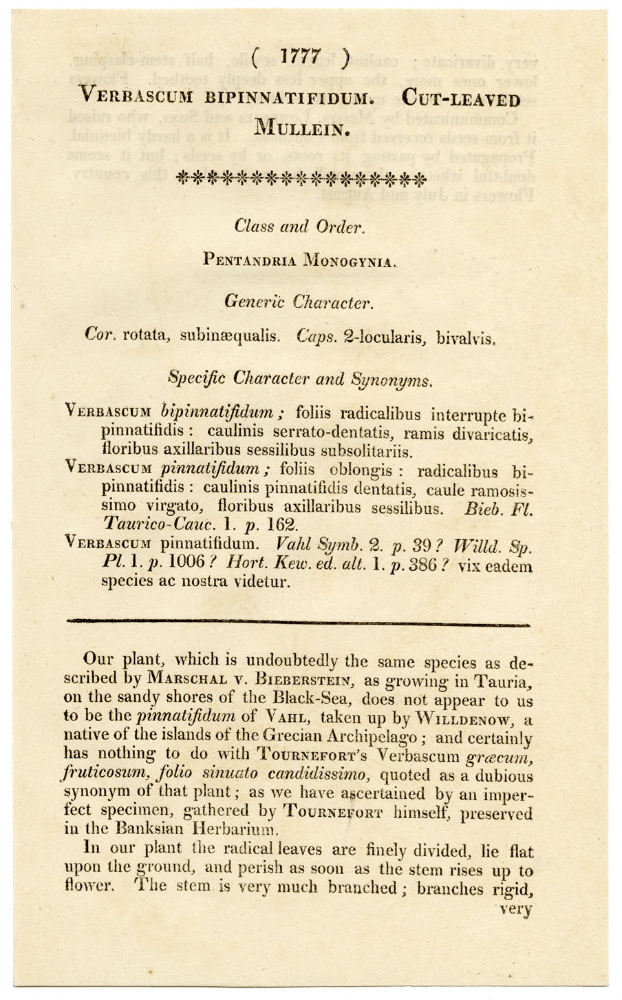 Rivista botanica di Curtis, Verbasco a foglie recise – Incisione colorata a mano del 1816