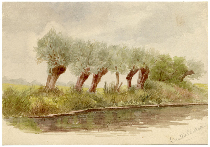 Fiume Cherwell, Oxford, alberi capitozzati – acquerello di fine Ottocento