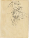 Eleanor Hughes RI, Tree Study – Original 1920 graphite drawing