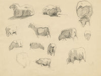 Eleanor Hughes RI, Sheet of Sheep Studies – Original 1920 graphite drawing