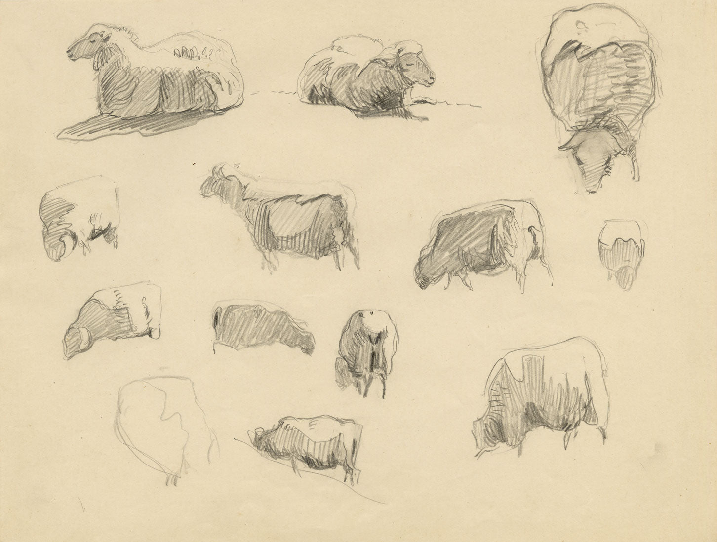 Eleanor Hughes RI, Sheet of Sheep Studies – Original 1920 graphite drawing