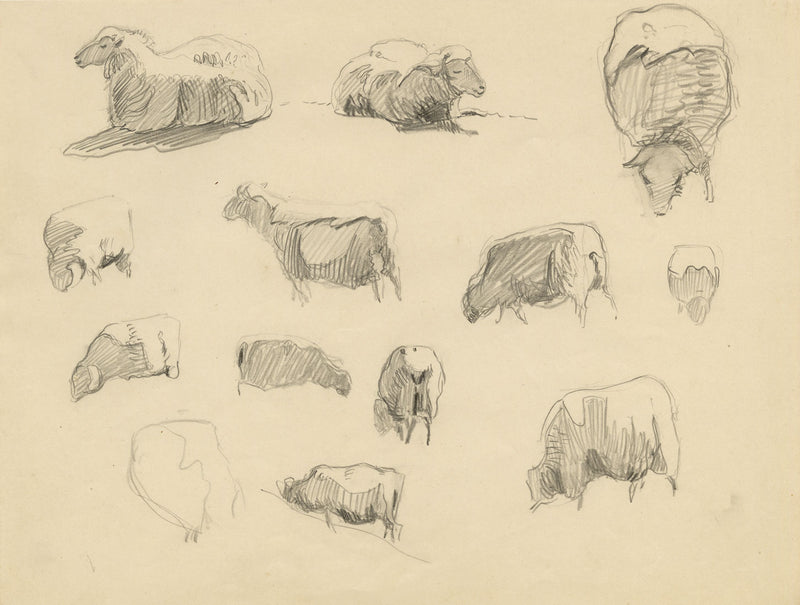 Eleanor Hughes RI, Sheet of Sheep Studies – Original 1920 graphite drawing