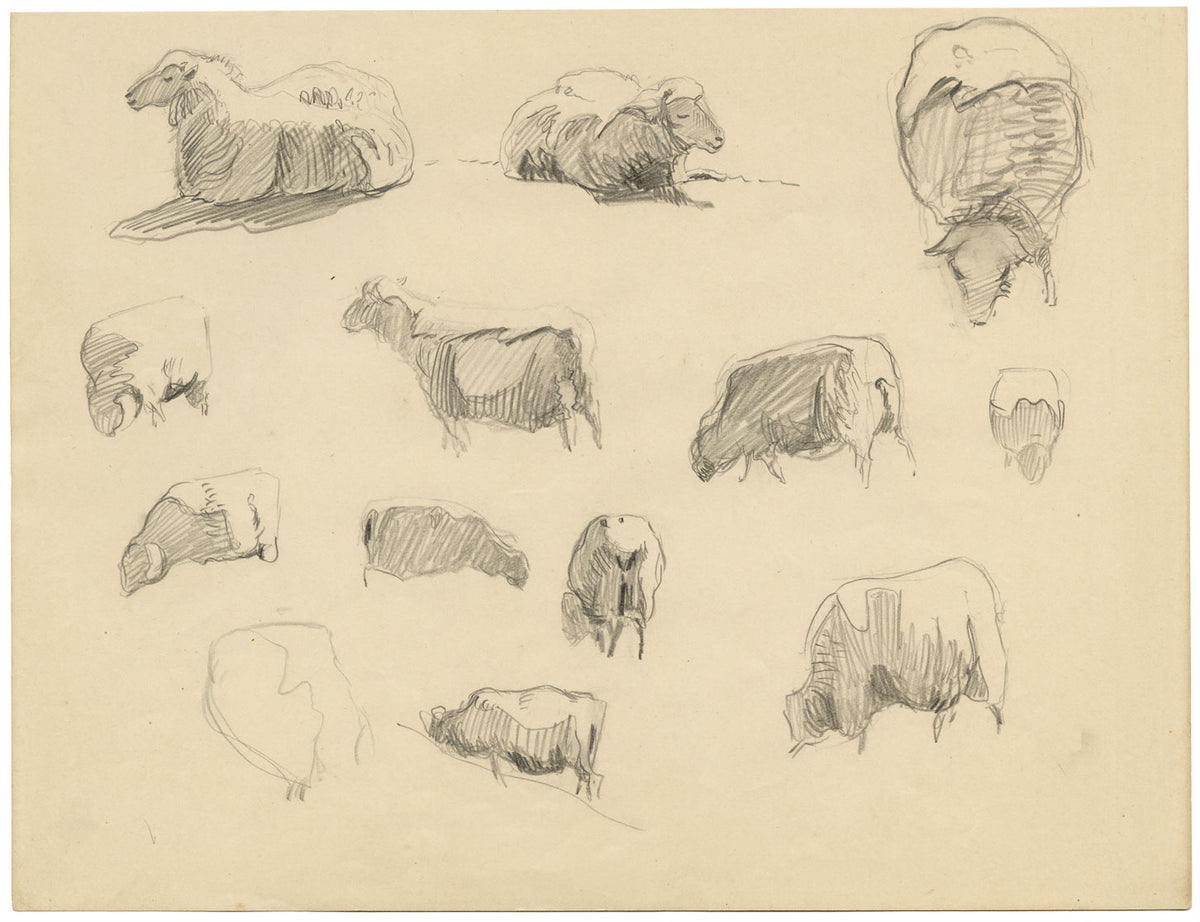 Eleanor Hughes RI, Sheet of Sheep Studies – Original 1920 graphite drawing