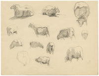 Eleanor Hughes RI, Sheet of Sheep Studies – Original 1920 graphite drawing