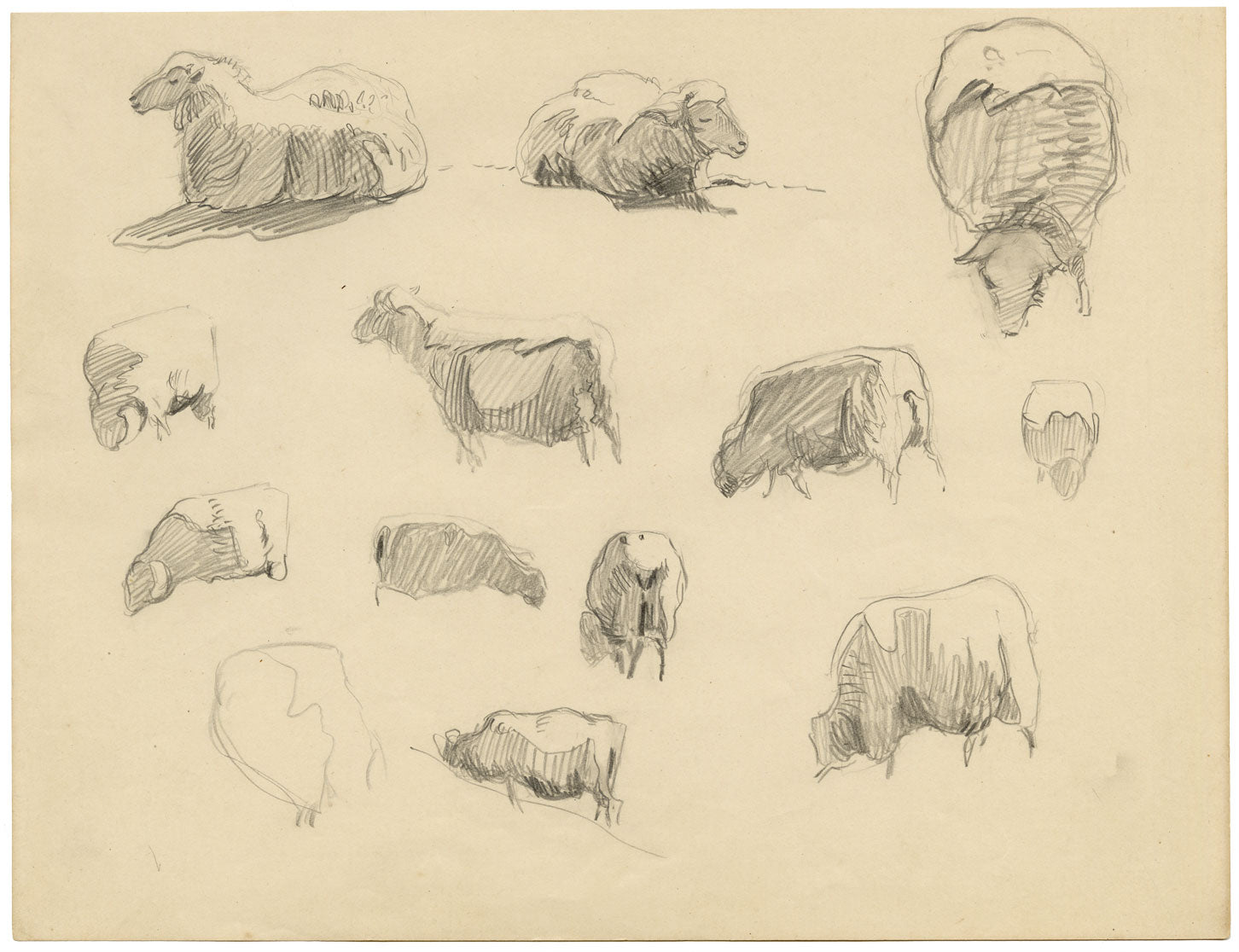 Eleanor Hughes RI, Sheet of Sheep Studies – Original 1920 graphite drawing