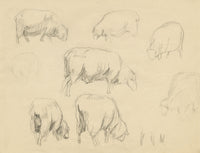 Eleanor Hughes RI, Sheep Studies – Original 1920 graphite drawing