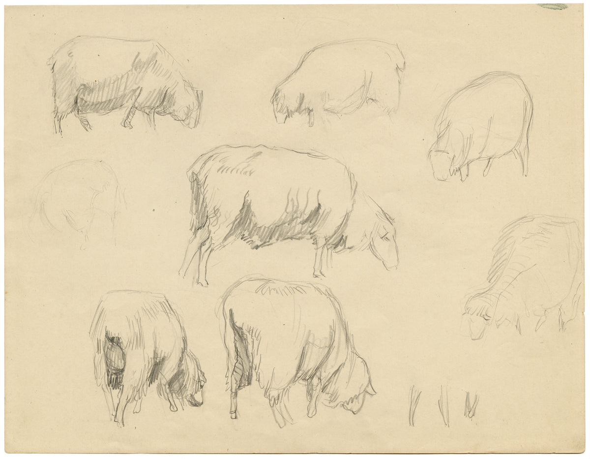 Eleanor Hughes RI, Sheep Studies – Original 1920 graphite drawing