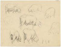 Eleanor Hughes RI, Sheep Studies – Original 1920 graphite drawing