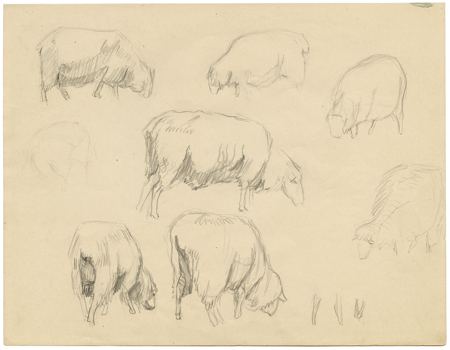 Eleanor Hughes RI, Sheep Studies – Original 1920 graphite drawing