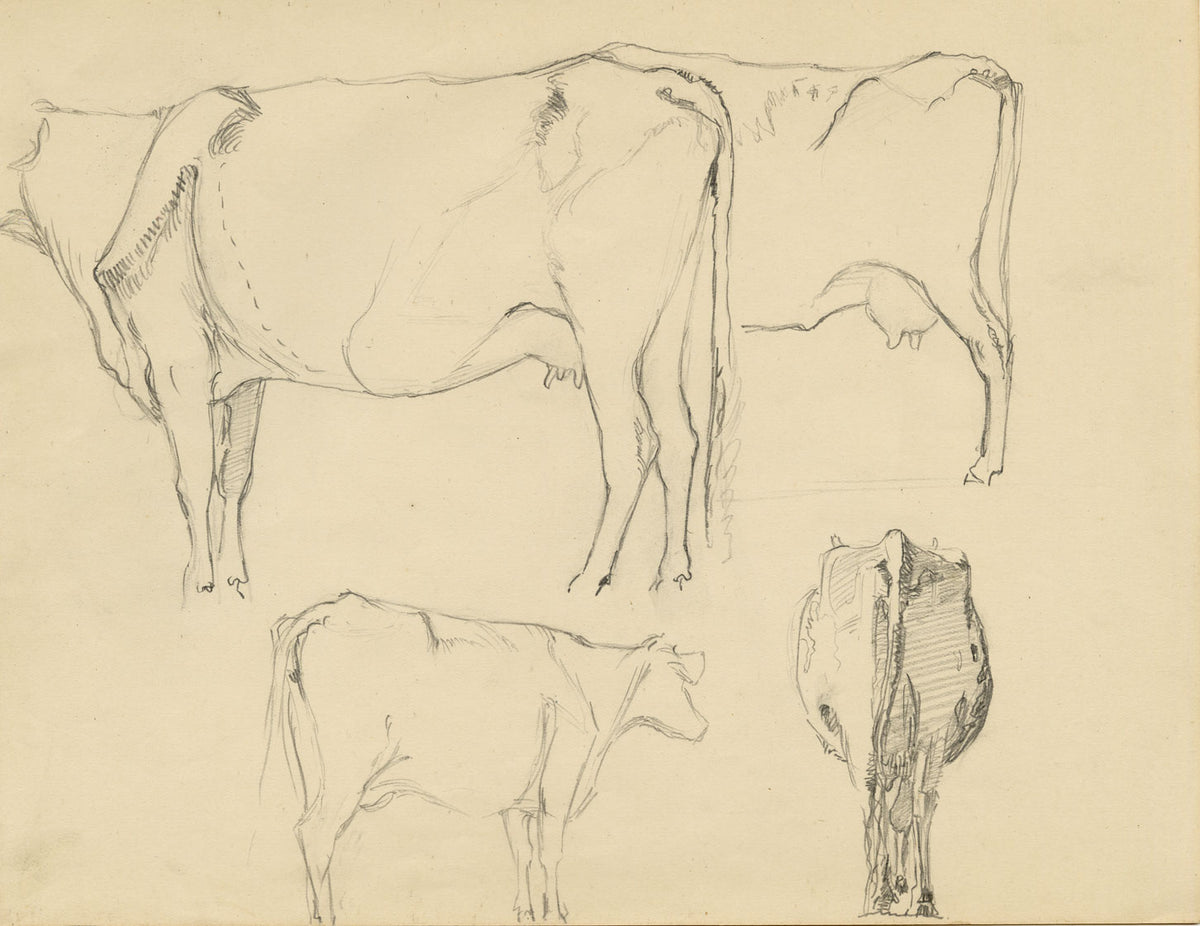 Eleanor Hughes RI, Cow Studies – Original 1920 graphite drawing