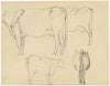Eleanor Hughes RI, Cow Studies – Original 1920 graphite drawing