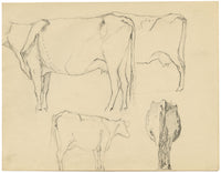 Eleanor Hughes RI, Cow Studies – Original 1920 graphite drawing