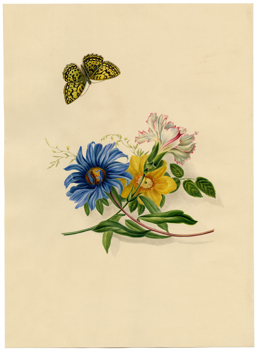 Louisa Hare, Cardinal Butterfly &amp; Flowers – Dipinto ad acquerello originale del 1832 circa