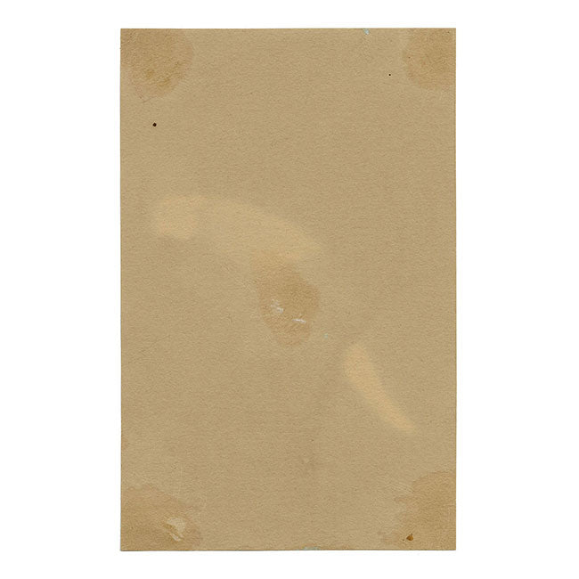 Herrerillo común en una rama – Acuarela original de 1884