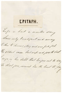 N. McM., Cornflower (Centaurea cyanus) – late 19th-century watercolour painting