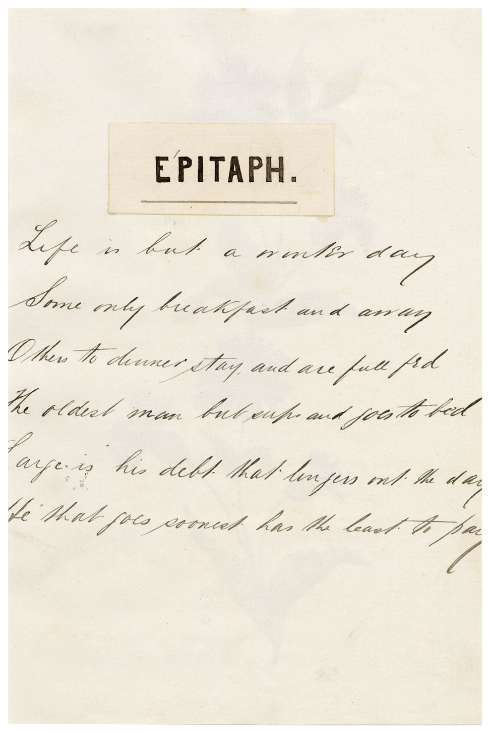 N. McM., Cornflower (Centaurea cyanus) – late 19th-century watercolour painting