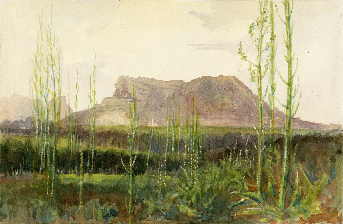 Whylock Pendavis, Corps de Garde Mountain, Mauritius –1880s watercolour painting