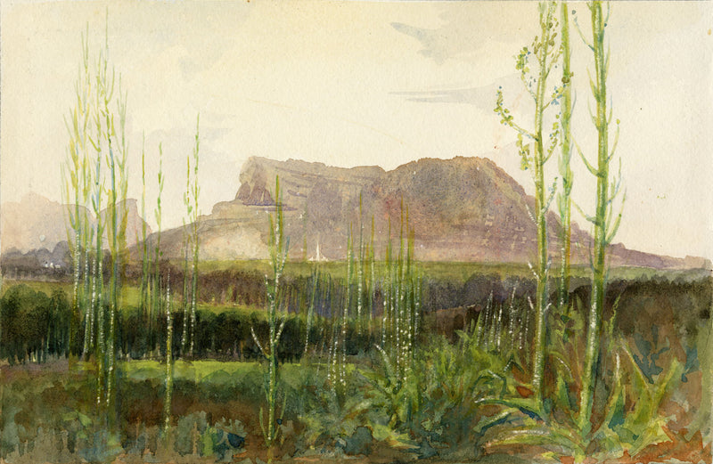 Whylock Pendavis, Corps de Garde Mountain, Mauritius –1880s watercolour painting