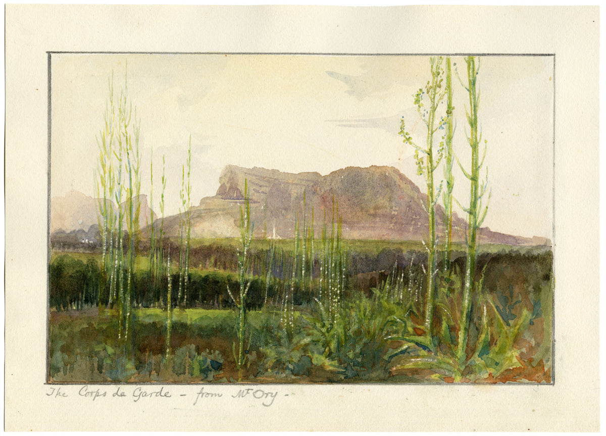 Whylock Pendavis, Corps de Garde Mountain, Mauritius –1880s watercolour painting