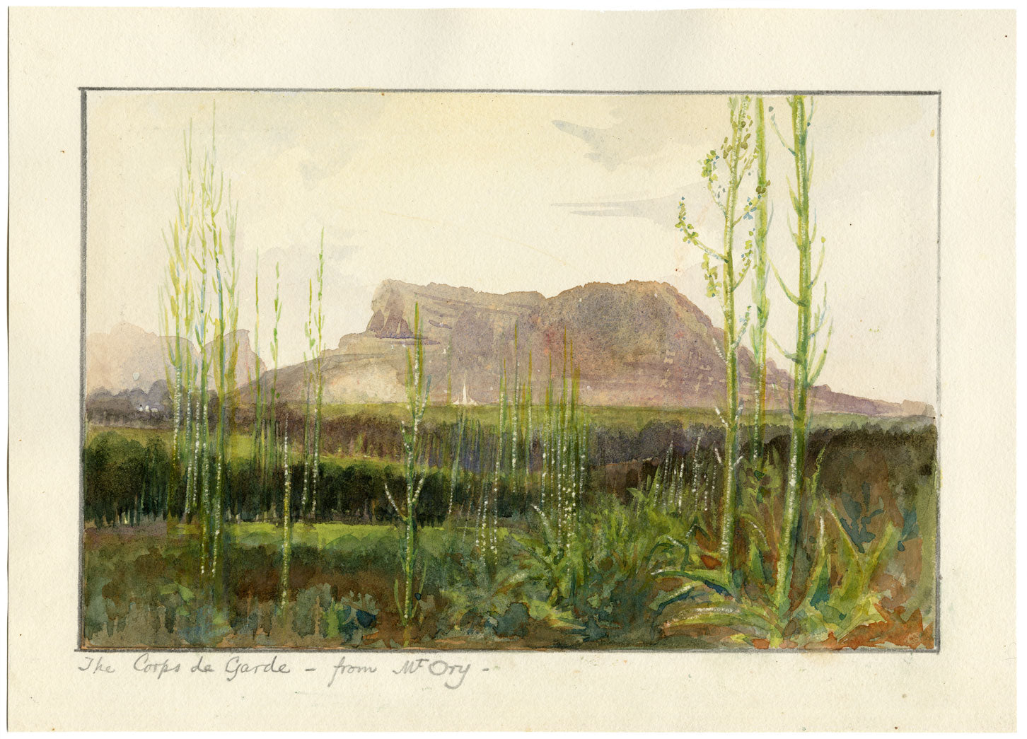 Whylock Pendavis, Corps de Garde Mountain, Mauritius –1880s watercolour painting