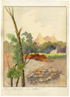Whylock Pendavis, Corps de Garde Mountain, Mauritius –1880s watercolour painting