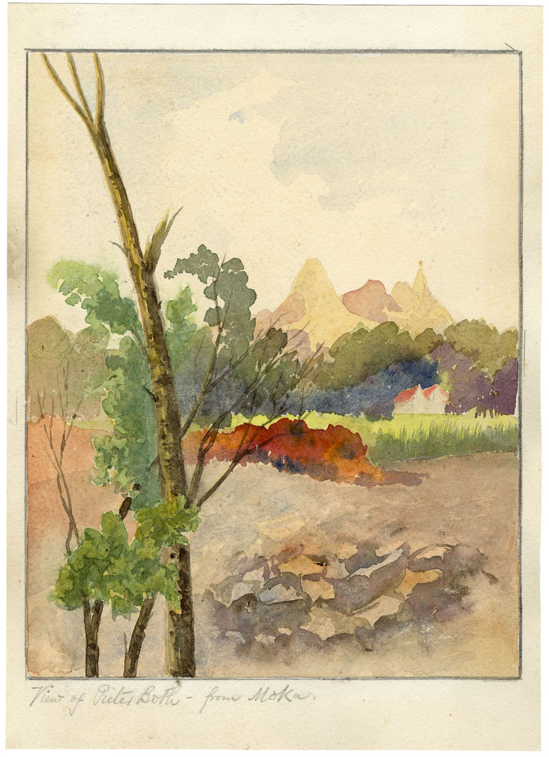 Whylock Pendavis, Corps de Garde Mountain, Mauritius –1880s watercolour painting