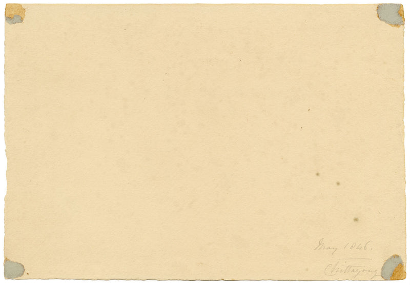 M.A. (Ricketts) Buckland, Charles T. Buckland, Chittagong, Bengal – 1846 drawing