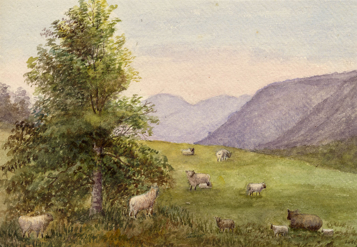 Keswick Sketching Club, Grazing Sheep, Lake District –1870s watercolour painting