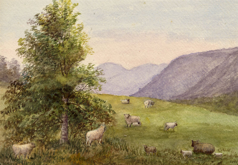 Keswick Sketching Club, Grazing Sheep, Lake District –1870s watercolour painting