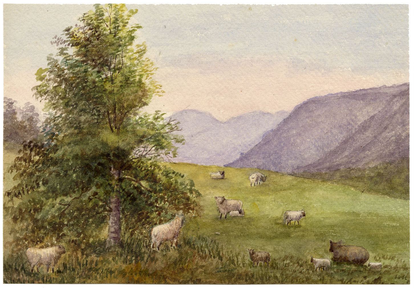 Keswick Sketching Club, Grazing Sheep, Lake District –1870s watercolour painting