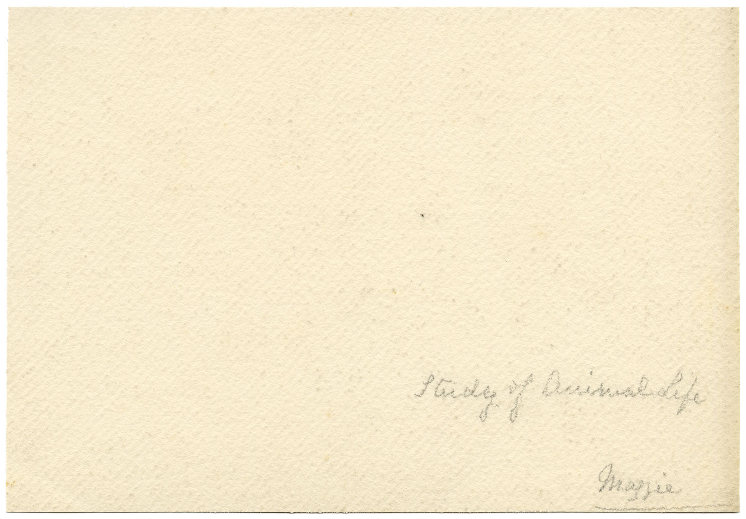 Keswick Sketching Club, Grazing Sheep, Lake District –1870s watercolour painting