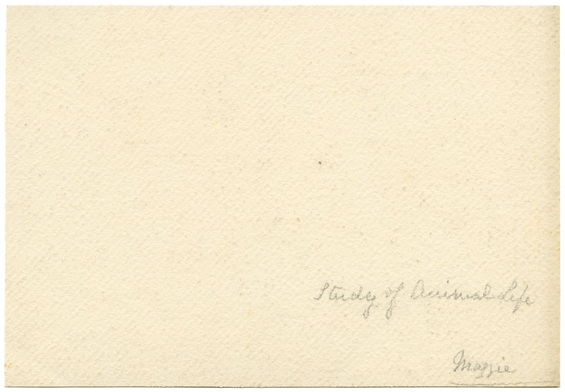 Keswick Sketching Club, Grazing Sheep, Lake District –1870s watercolour painting