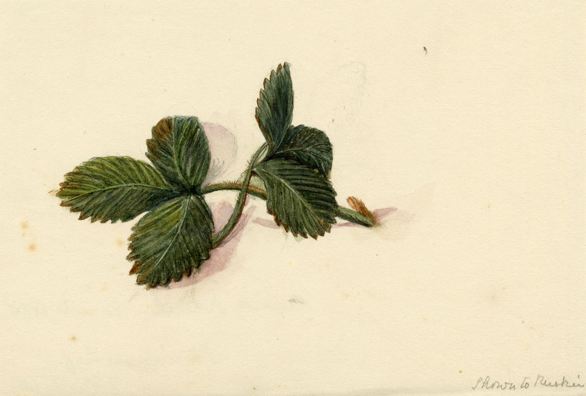 Keswick Sketching Club