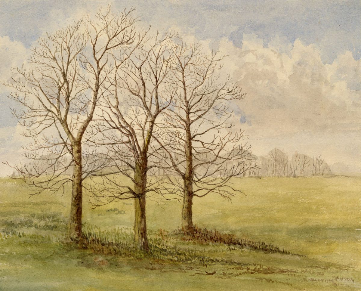 Keswick Sketching Club, Winter Trees – Original 1870s watercolour painting