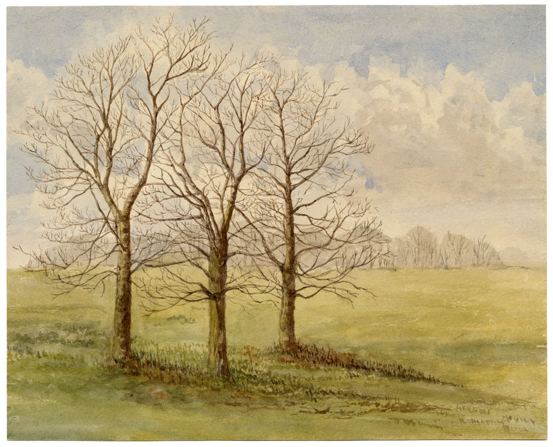 Keswick Sketching Club, Alberi invernali – Acquerello originale del 1870