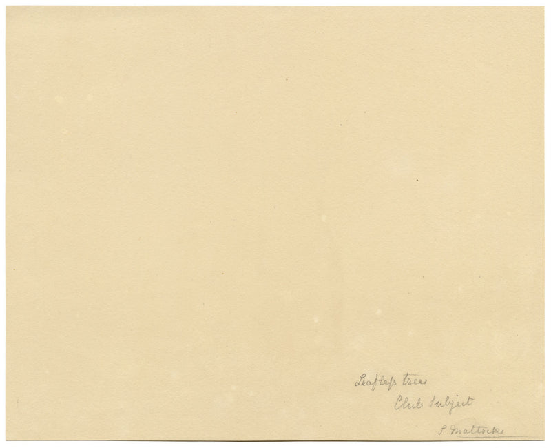 Keswick Sketching Club, Alberi invernali – Acquerello originale del 1870