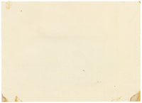 English Springer Spaniel Dog – Original early 19th-century graphite drawing