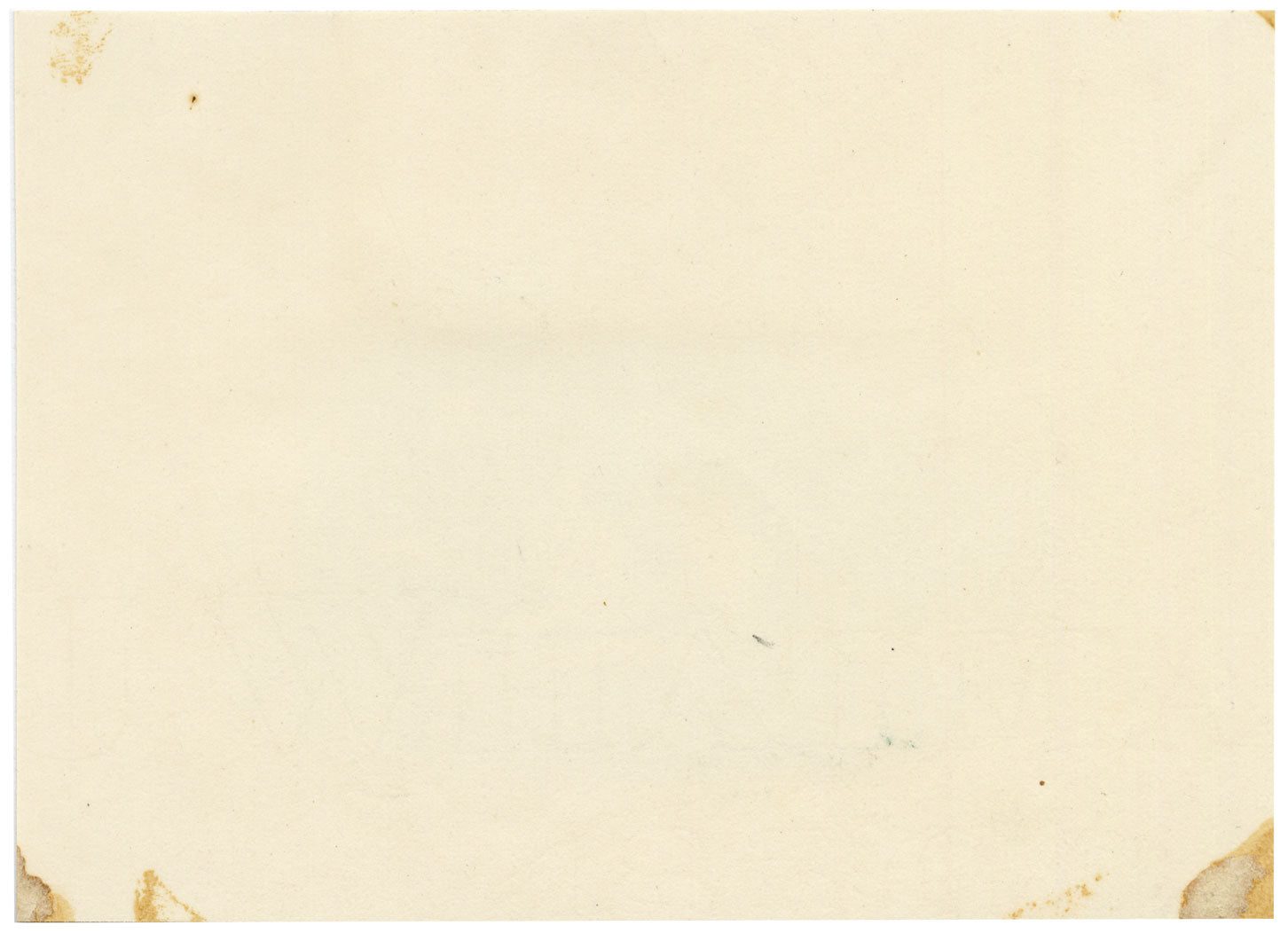 English Springer Spaniel Dog – Original early 19th-century graphite drawing